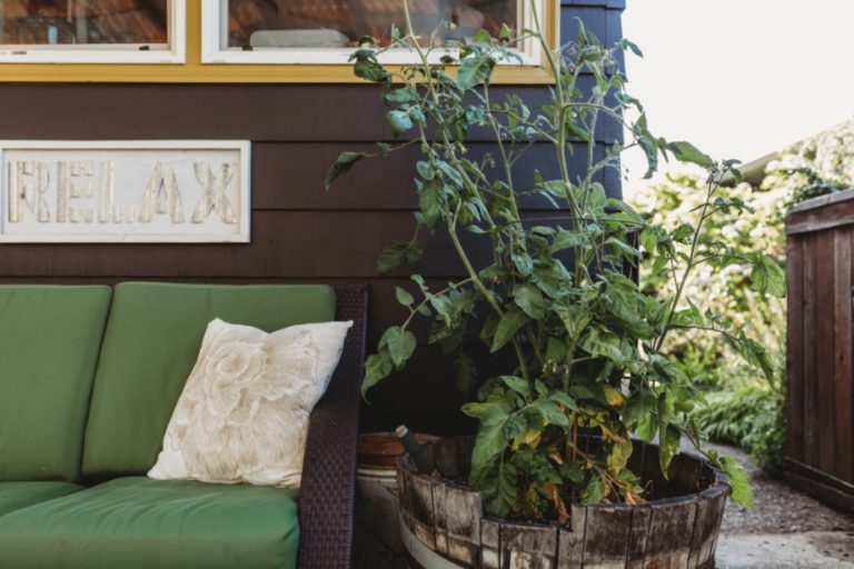 Sofa and plant on an outdoor patio in the summer.